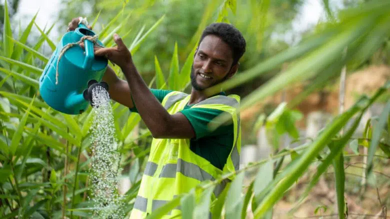 man watering plant