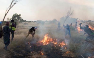 Refugees fight fires to preserve Mauritania’s environment