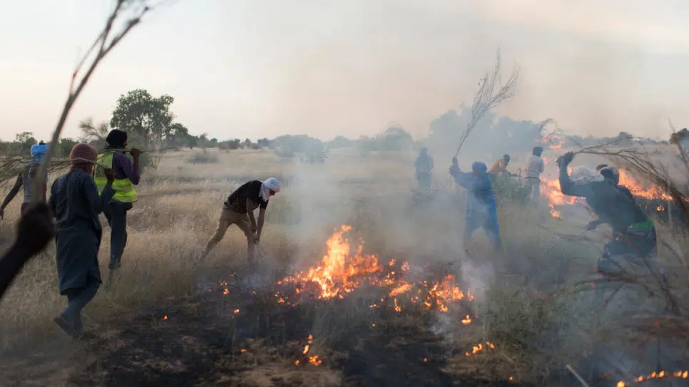 Des réfugiés luttent contre les incendies pour protéger l’environnement en Mauritanie