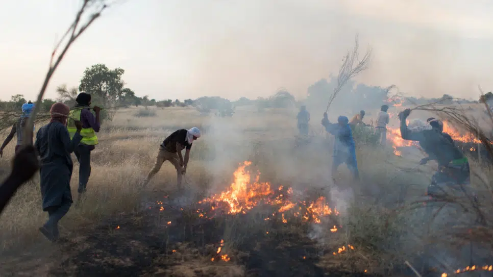 Refugees fight fires to preserve Mauritania’s environment