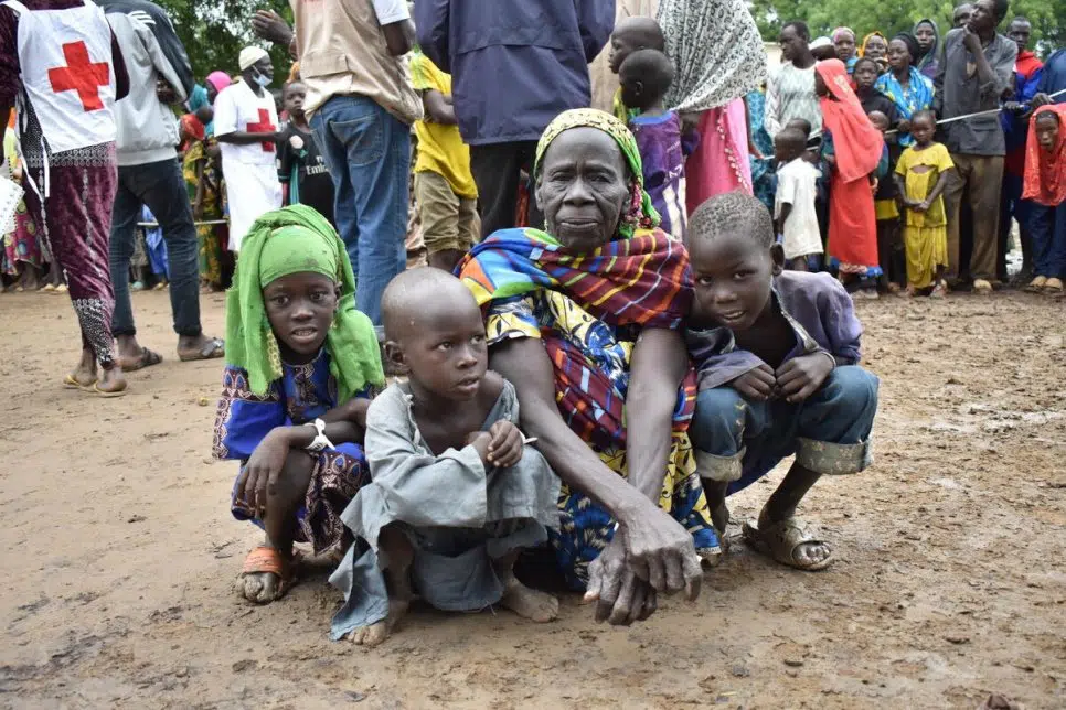 Le HCR a besoin de 59,6 millions de dollars pour venir en aide à 100 000 personnes déplacées par la violence dans la région de l’Extrême-Nord du Cameroun