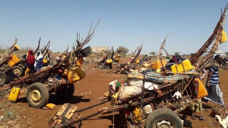 Des familles de la ville de Baidoa, dans le sud de la Somalie, fuient leurs maisons à la recherche d’une aide humanitaire en raison de la grave sécheresse qui touche une grande partie du pays