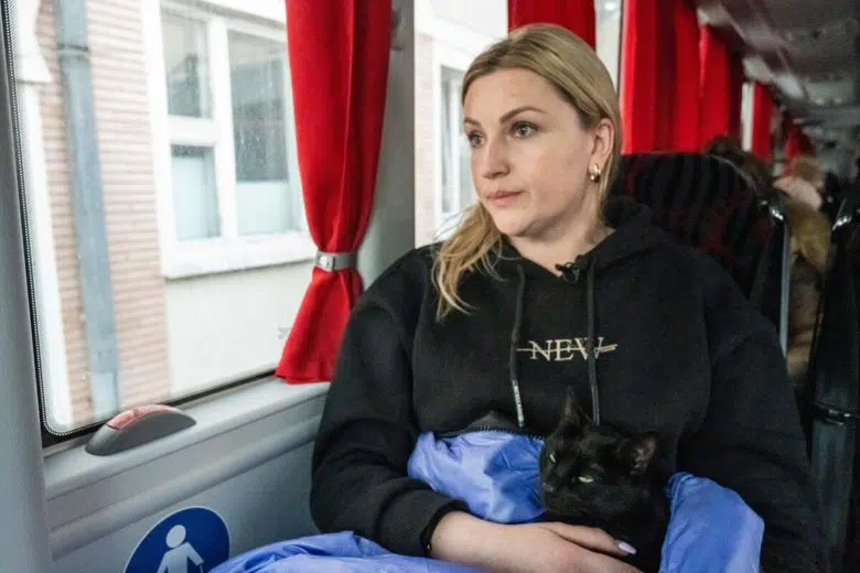 Woman on bus with her cat.