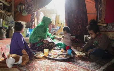 Why Donate your Zakat to UNHCR?