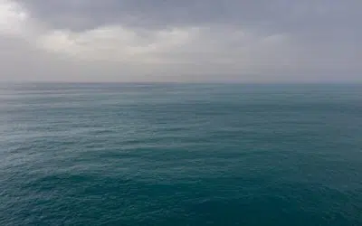 UN Refugee Agency appeals for urgent action amid soaring deaths at sea