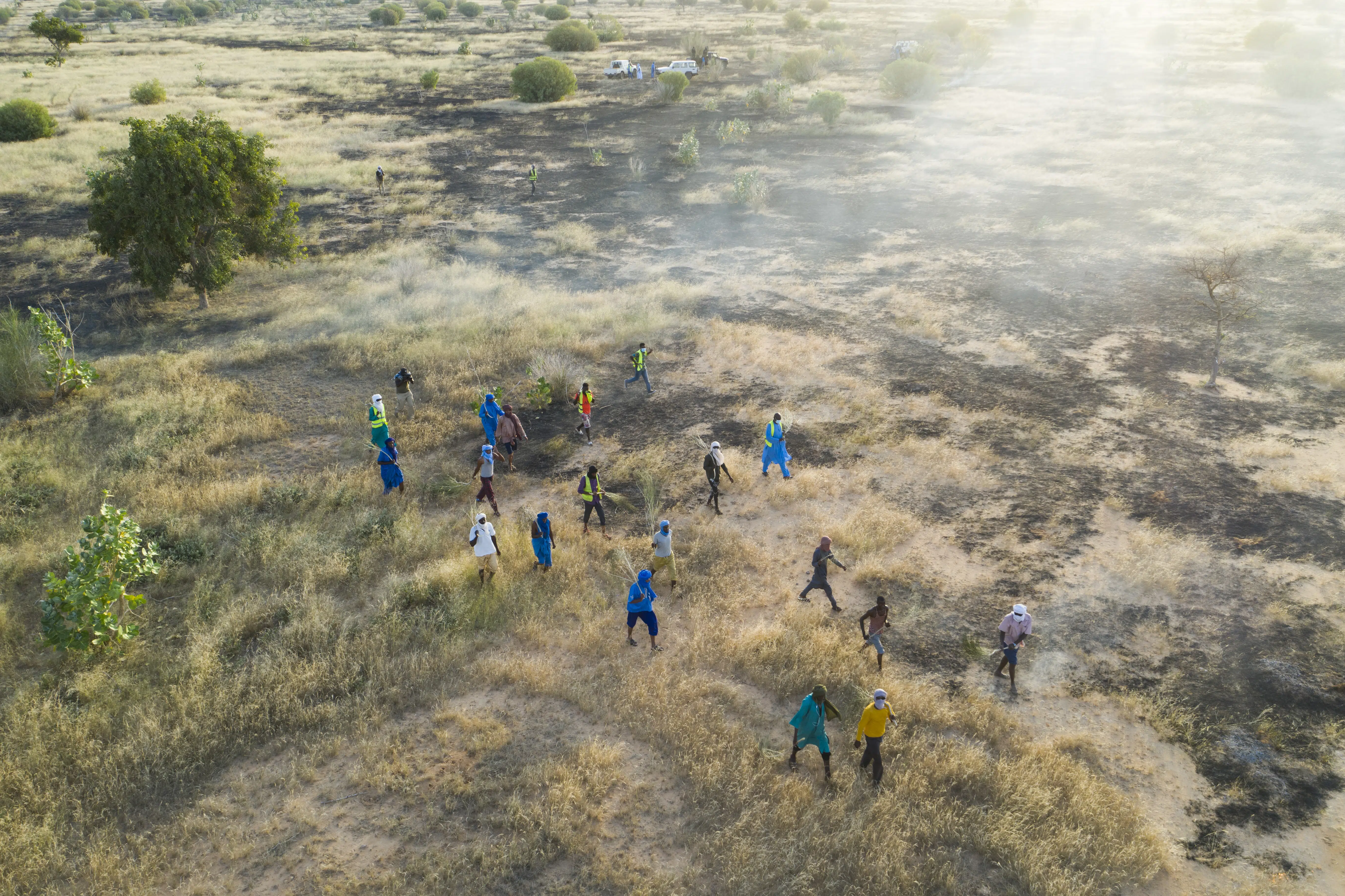 Aerial view of burnt area of ground