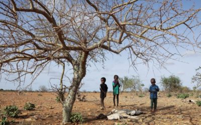 UNHCR appeals for life-saving aid for millions affected by catastrophic Horn of Africa drought
