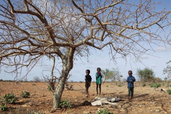 Three children stand on drought cracked ground with a barren tree to the left.