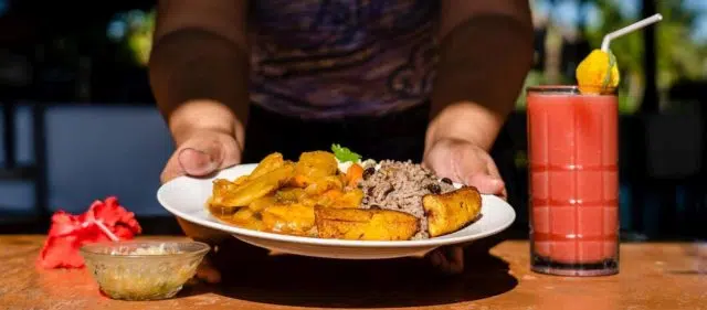 hands holding a plate of food