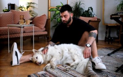 Syrian musician and his dog reunited after journey to safety in Belgium