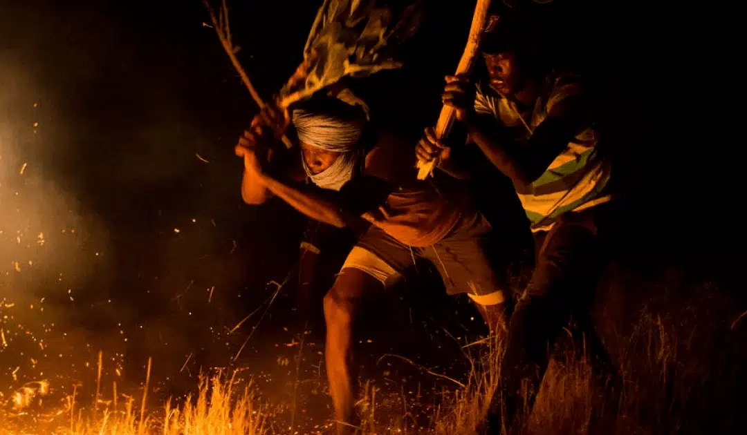 Des pompiers volontaires réfugiés récompensés pour protéger l’environnement avec bravoure en Mauritanie