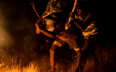 Des pompiers volontaires réfugiés récompensés pour protéger l’environnement avec bravoure en Mauritanie