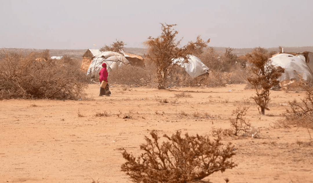 La sécheresse s’aggrave et pousse des Somaliens à abandonner leur foyer en quête de nourriture, d’eau et d’aide humanitaire