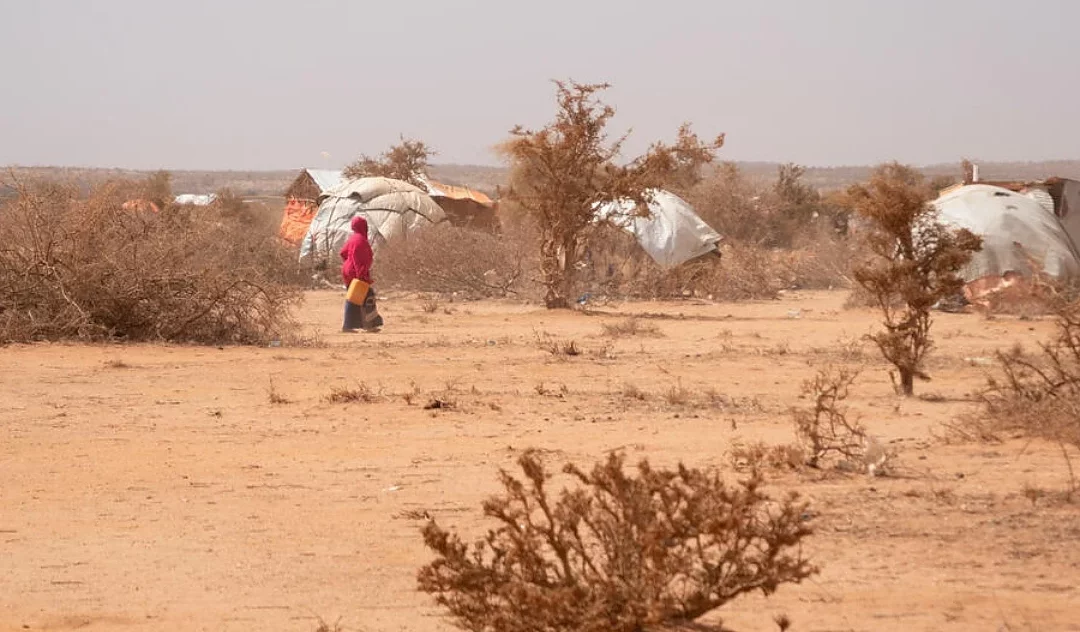 Somalis abandon their homes in search of food, water and aid as drought deepens