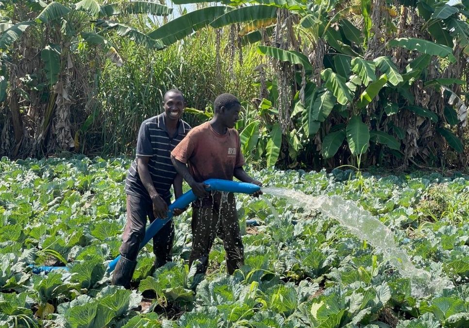 Farming together fosters ties between Burundian refugees and their Congolese hosts