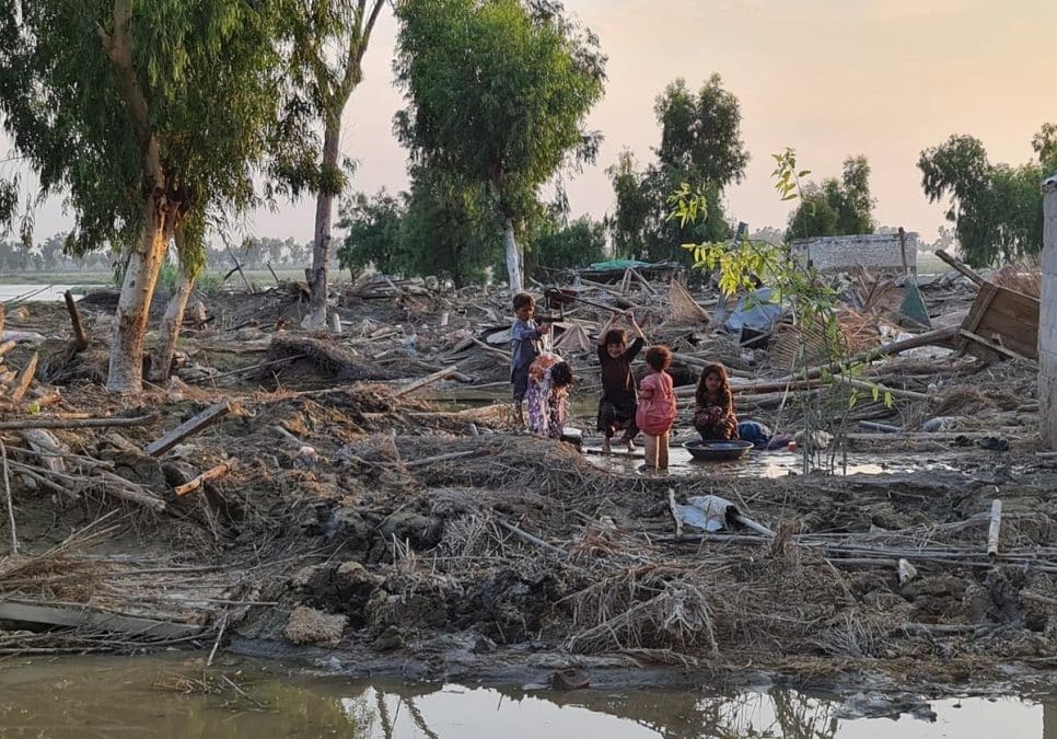 Le HCR sollicite d’urgence 66 millions de dollars pour venir en aide aux communautés dévastées par les inondations au Pakistan