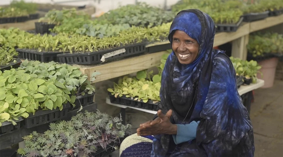 Somali Bantu refugees offer new roots and bountiful harvest in Maine
