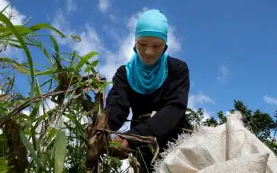 How Thailand’s grassroots organizations are working to end statelessness