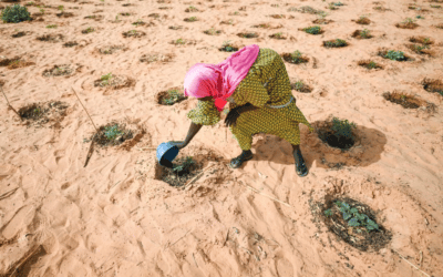 UN warns of worsening conflict and displacement in Sahel without immediate climate action