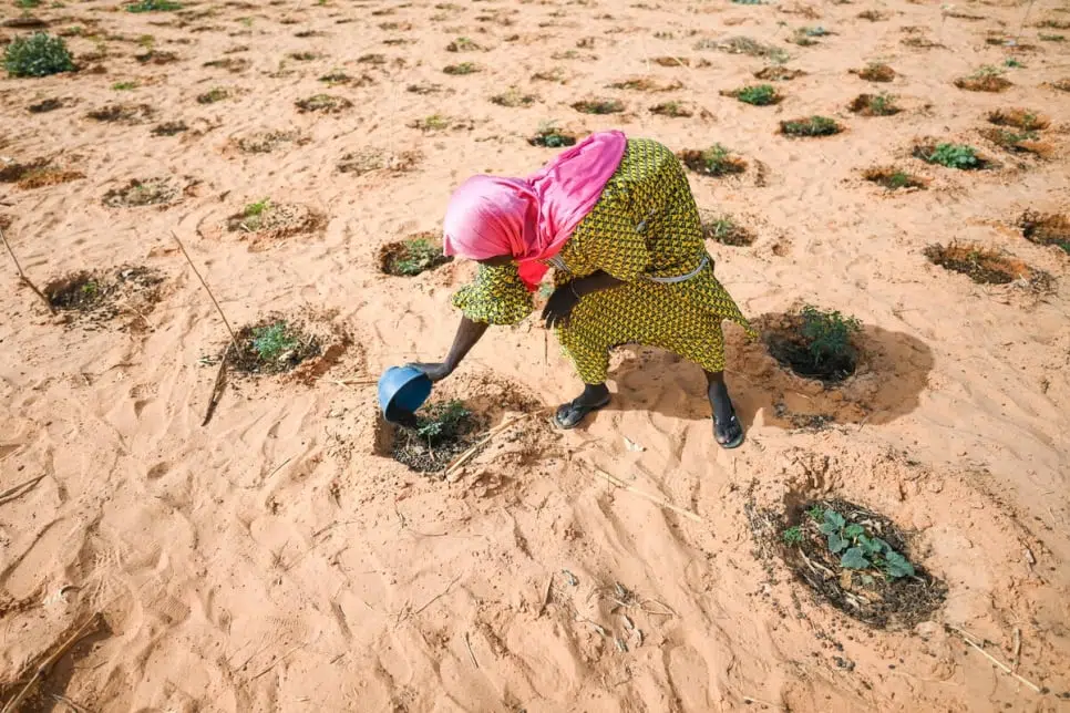 L’ONU met en garde contre l’aggravation des conflits et des déplacements au Sahel en l’absence de mesures climatiques immédiates