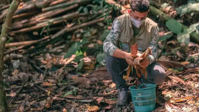 Avant de commencer à travailler pour FUNDAECO, Joshua ne travaillait que sporadiquement comme ouvrier journalier. Il fait partie des plus de 1,3 million de personnes qui ont été contraintes de fuir l’Amérique centrale en raison de la violence et des persécutions. © HCR/Victor Augusto Sánchez Mejía