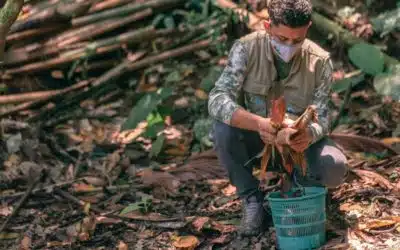 Former ‘nature beginner’ is now on the front lines of the fight against climate change
