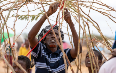De nombreux Somaliens fuient la sécheresse et le conflit pour trouver refuge dans les camps de Dadaab au Kenya