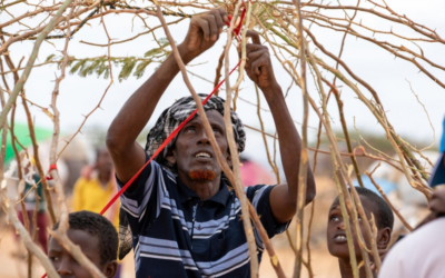 Somalis flee drought and conflict to Kenya’s Dadaab camps