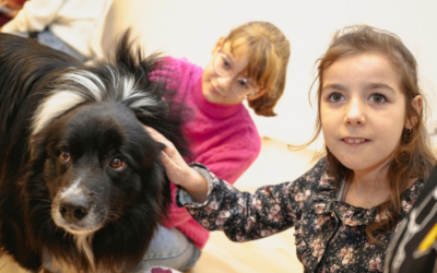 Un chien de compagnie aide les réfugiés ukrainiens à évacuer leur stress