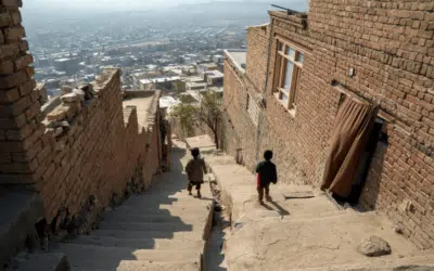 UNHCR launches new appeal for Afghan refugees and hosts, urging partners to stay the course