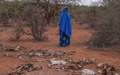 La sécheresse entraîne des pénuries alimentaires qui mettent en danger la vie des réfugiés en Éthiopie