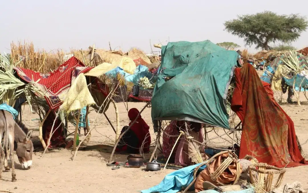 Le HCR exprime sa vive inquiétude alors que des réfugiés fuyant les combats au Soudan arrivent au Tchad