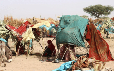 UNHCR gravely concerned as refugees fleeing fighting in Sudan arrive in Chad