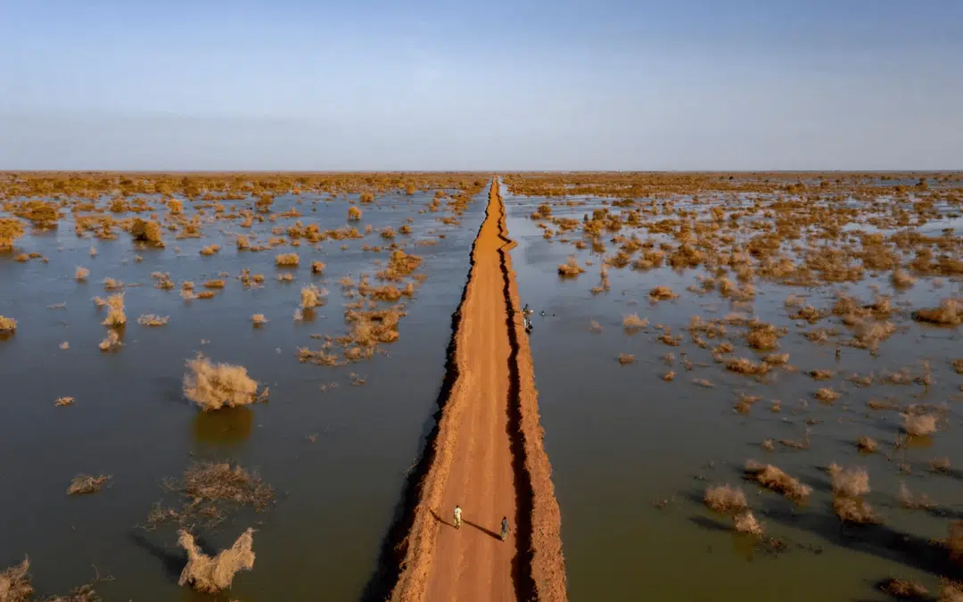 Le Soudan du Sud pris au piège de l’urgence climatique