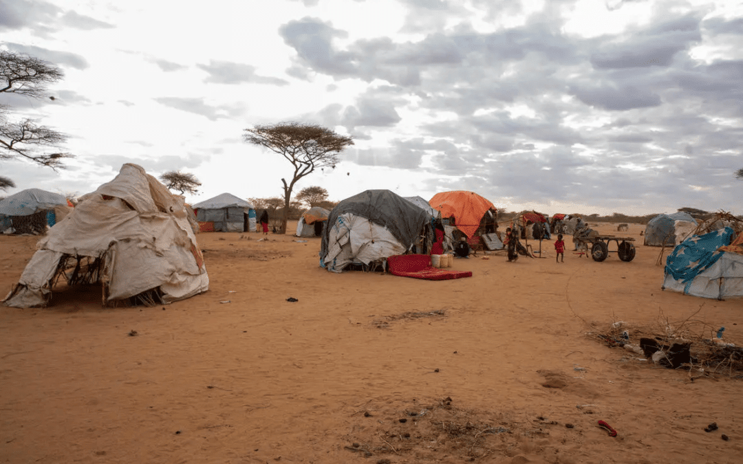 Kenya’s Dadaab struggles with new influx of Somalis fleeing drought