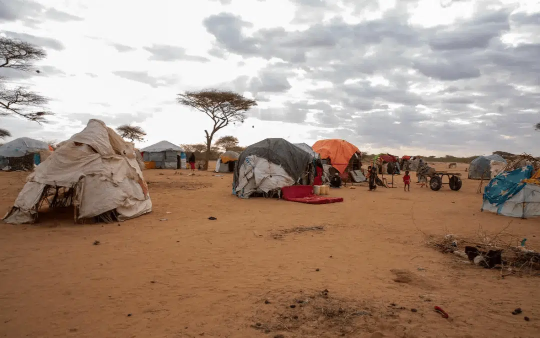Le camp de Dadaab au Kenya fait face à de nouvelles arrivées de Somaliens fuyant la sécheresse