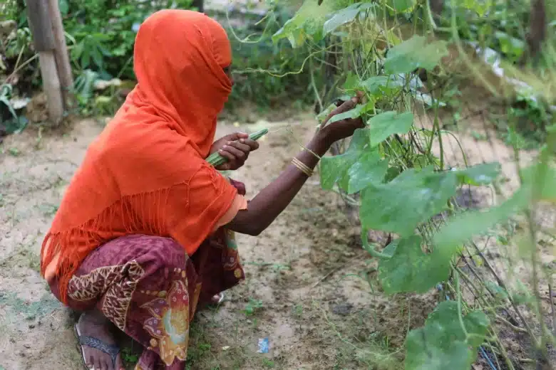Woman in red crouching down with hand out inspecting a plant leaf.