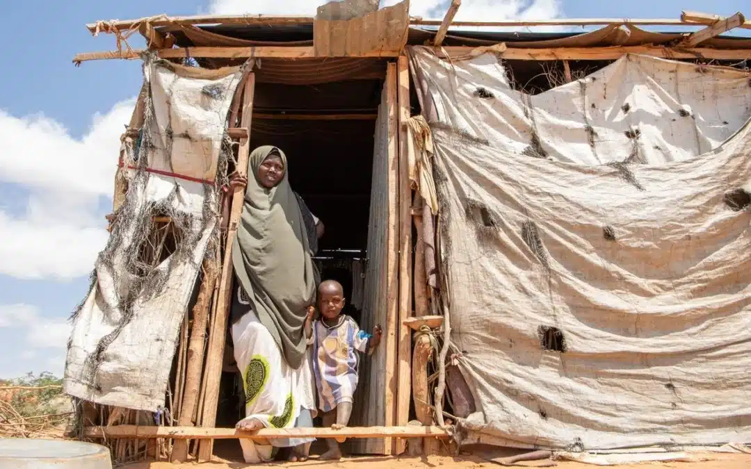 UNHCR commits to climate action in Africa to protect displaced populations and foster resilience