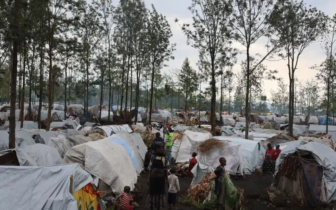 Le HCR exprime sa grave préoccupation au sujet de la protection des personnes déplacées par la violence dans l’est de la République démocratique du Congo