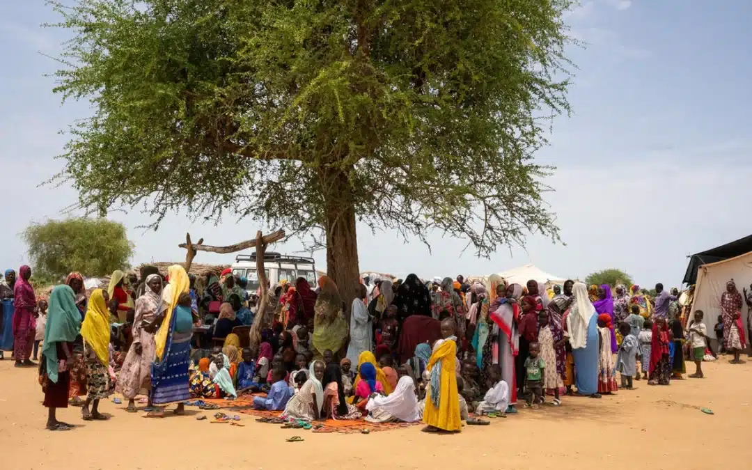 Sudan: UNHCR warns of increasing violence and human rights violations against civilians in Darfur