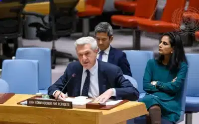 High Commissioner’s statement to the United Nations Security Council