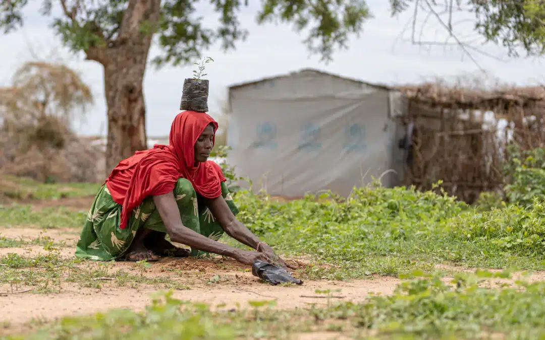 Les réfugiés et les personnes déplacées, en première ligne face au changement climatique, appellent à une plus grande inclusion lors de la COP28