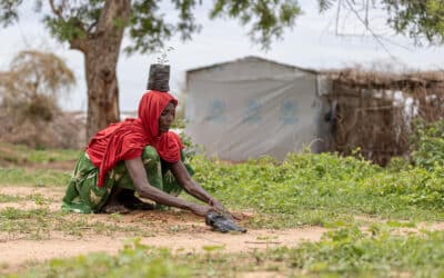 Refugees and displaced people from climate frontlines call for greater inclusion at COP28