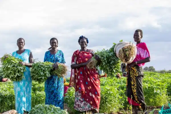 3 people stand holding harvested crop