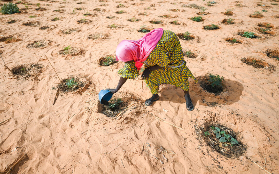 UNHCR launches fund to shield refugees and other displaced people from climate shocks