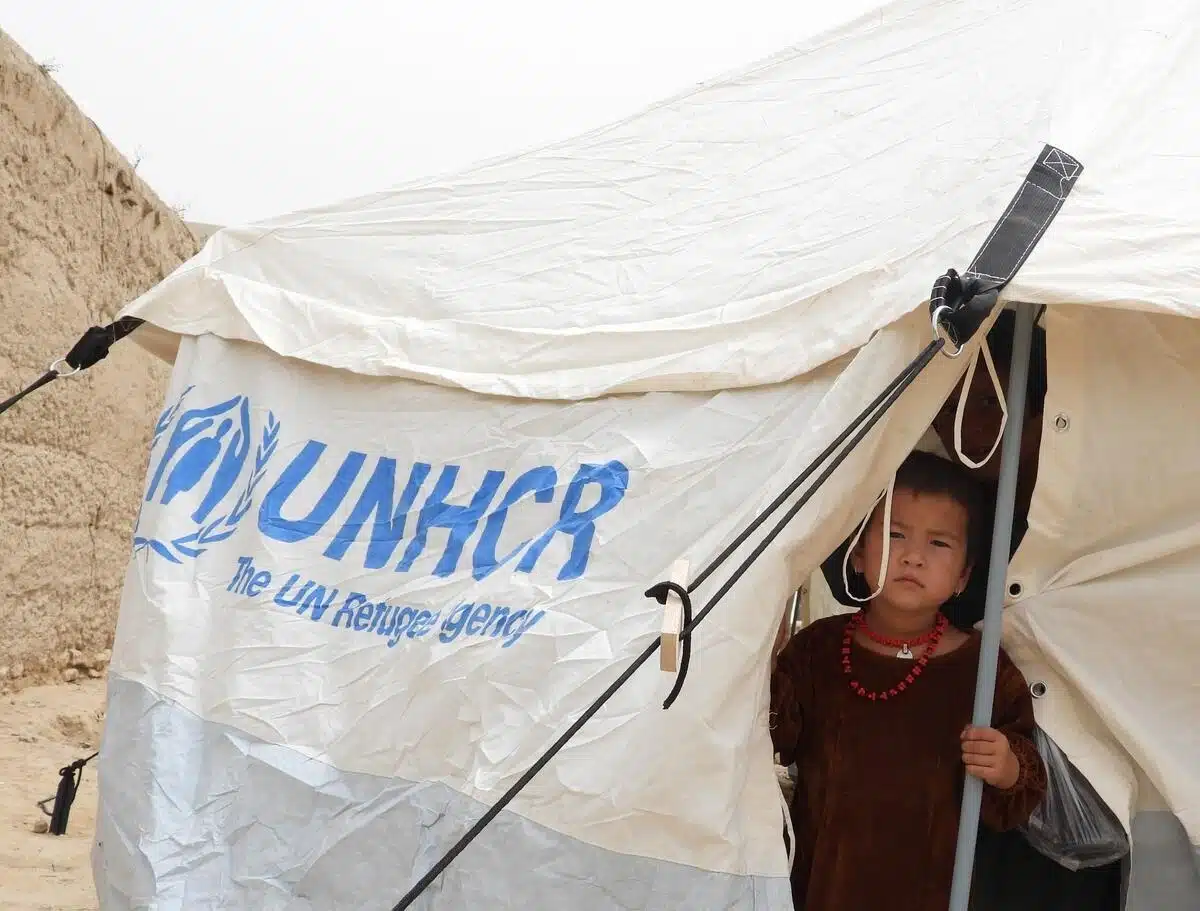 Un enfant regarde par la fente d'une tente étiquetée par le HCR.