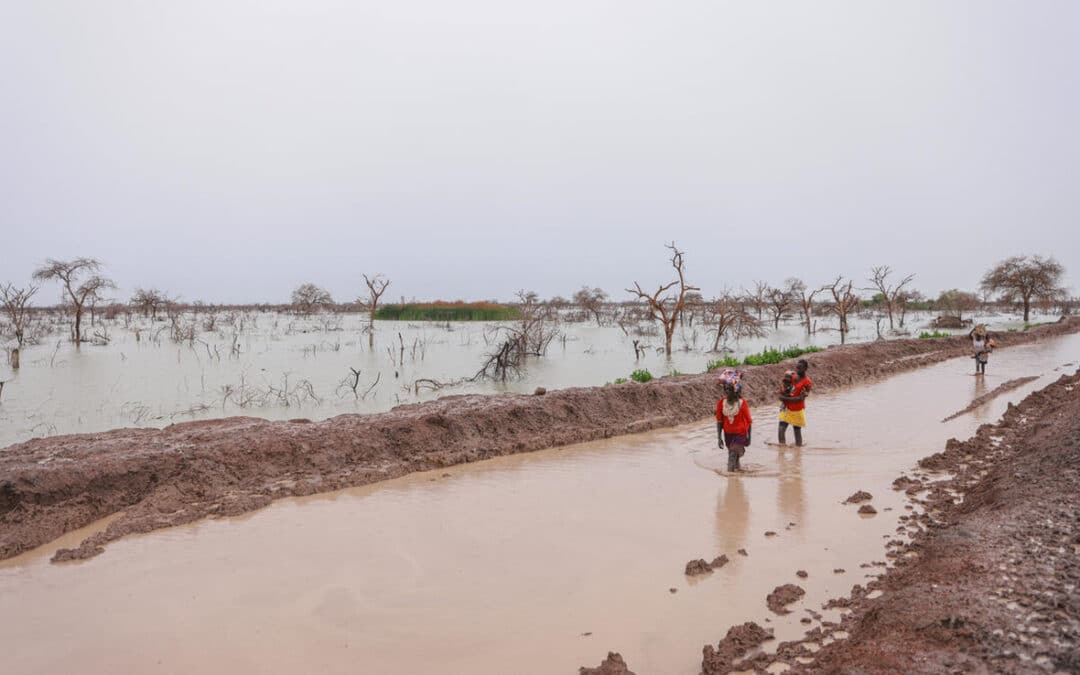 UNHCR: New, deadly floods displace over 100,000 in South Sudan; conflict and funding cuts impede aid