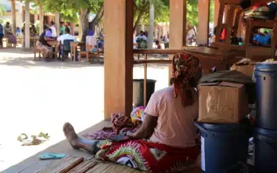 Severe floods displace nearly 400,000 in Mozambique, heightening protection risks