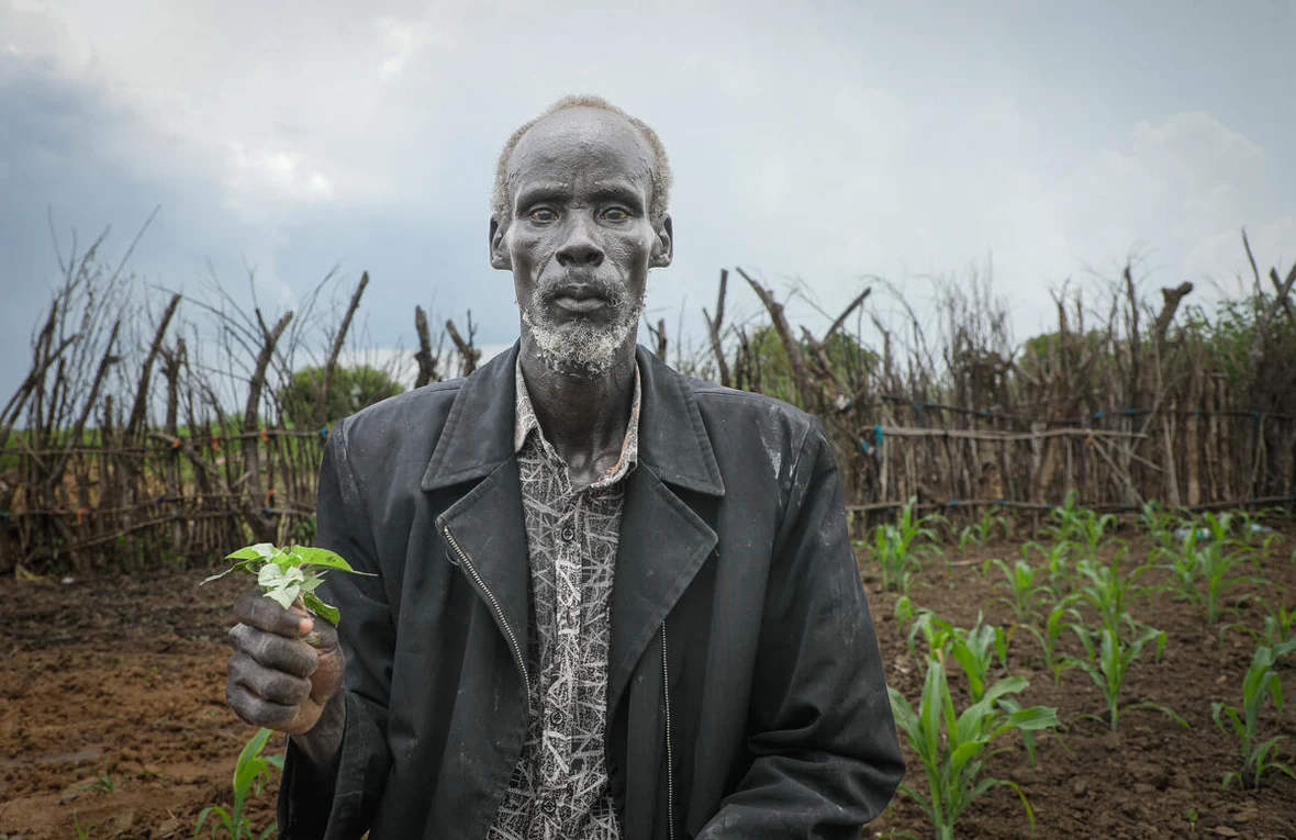 A gaunt middle-aged South Sudanese man stands holding a green shoot of a plant in his right hand while behind him a tilled field with a few green shoots is visible.