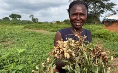 From dependence to dignity: sustainable solutions for refugees in Cameroon